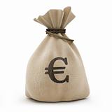 Bag with money euro