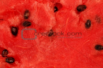 Watermelon Pulp