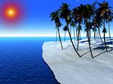 Palm Tree Island 46