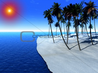 Palm Tree Island 46