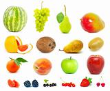 fruits  