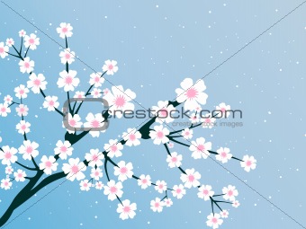 illustration of spring bloom branch