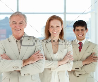 Business team with folded arms in a line