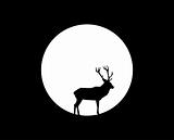 deer under the moon
