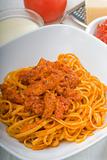 italian spaghetti with tomato and chicken sauce