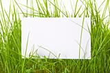 White Sign Amongst Grass 