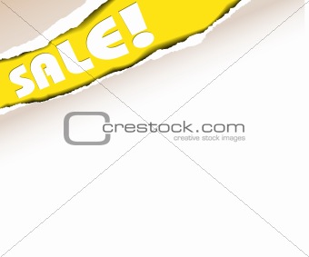 Vector ripped paper - background for items in sale