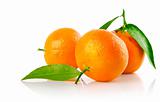 fresh mandarine fruits with green leaves isolated