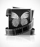 photo film and photograph picture with butterfly