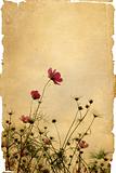 old flower and worn paper texture background