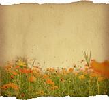 old flower and worn paper texture background