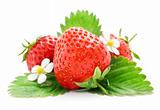 fresh strawberry fruits with flowers and leaves