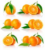 set of fresh mandarine fruits with cut and green leaves