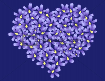 Heart made of Violet flowers