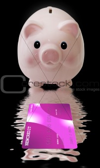 Piggy Bank with Credit Card