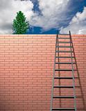 Ladder leans on wall with sky