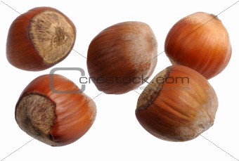 Hazelnuts, isolated