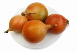 Onions, isolated
