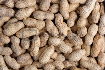 Peanuts 
