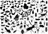 100 insects