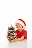 Happy boy with small christmas tree and santa hat