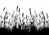 real grass vector silhouette