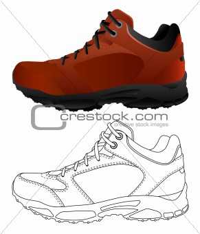 Vector isolated image of sport shoes.