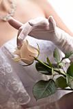 rose and hand in wedding glove
