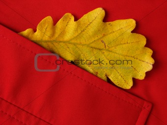 leaf in pocket