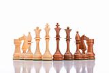 chess - black and white chess pieces isolated on white background