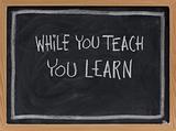 while you teach, you learn
