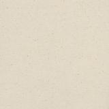 blank cotton canvas texture