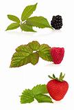 Blackberry, Raspberry and Strawberry