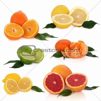 Citrus Fruit Collection