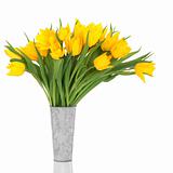 Yellow Tulip Flowers