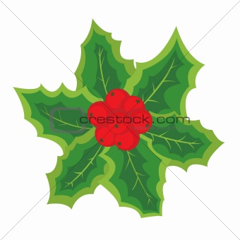 Christmas element with holly berries for your design