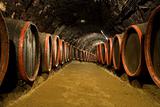 Wine barrels in winery cellar