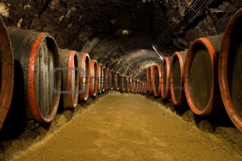 Wine barrels in winery cellar