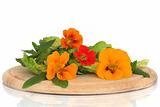 Nasturtian  Flower and Herb Salad