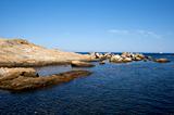 Sea of Giglio island - Campese