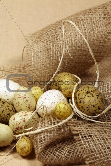Quail Easter eggs
