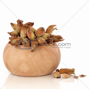 Cob Nuts
