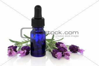 Lavender Herb Flower Essence