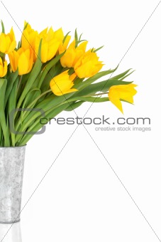 Yellow Tulip Flower Beauty
