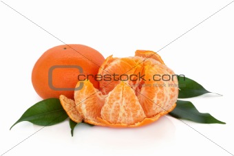 Tangerine Fruit