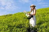 asian female tourist on green tea field