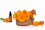 Marigold Flowers and Essence
