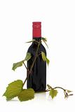 Red Wine and Grape Leaves