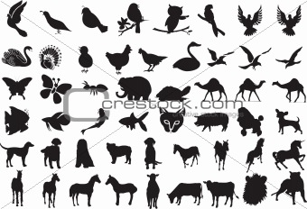 Animal Silhouettes