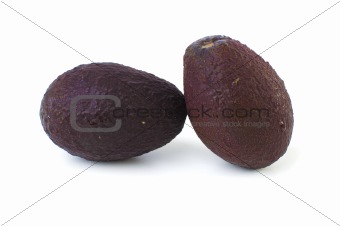 isolated avocado fruit